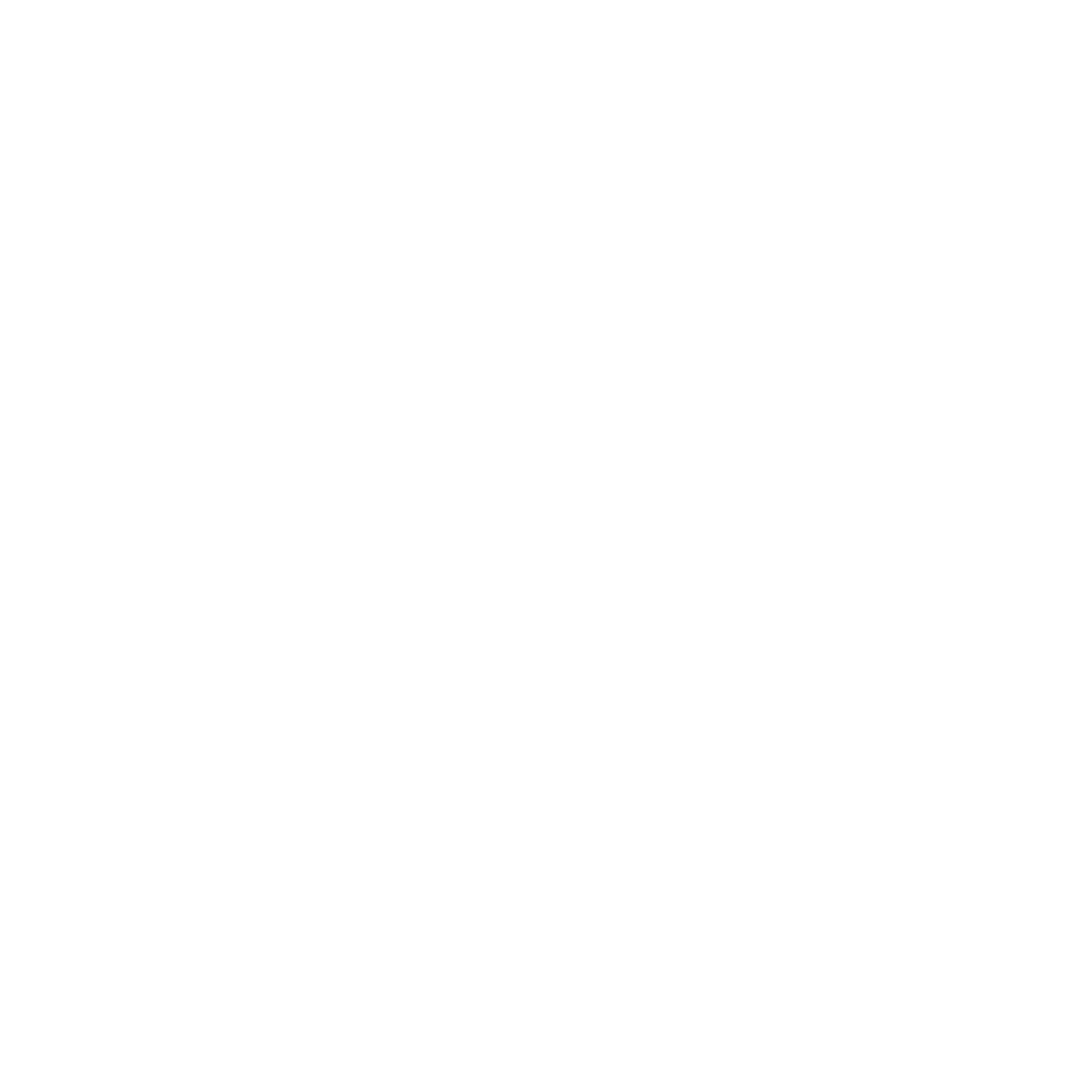 MADE IN THE USA